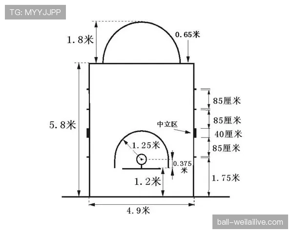 罚球规则NBA与FIBA对比，关键区别是核心差异详解。